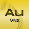 VNX Gold 徽标