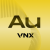VNX Gold logosu