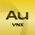 VNX Gold logo