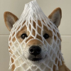 نشانواره Wrapped Dog نشانواره Wrapped Dog