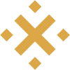 XBN Community Token logotipo