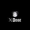 XDOGE logo XDOGE logo