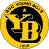 Young Boys Fan Token логотип